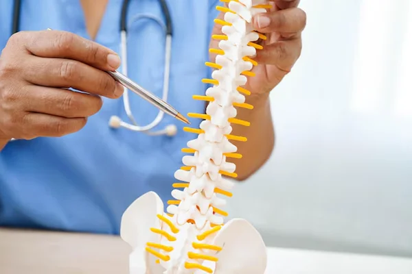Disc Problems and Spine Treatment